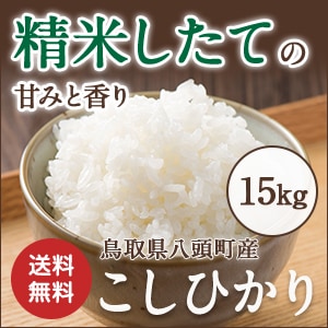 【令和7年産 新米】特別栽培米コシヒカリ15kg【令和7年10月以降発送】