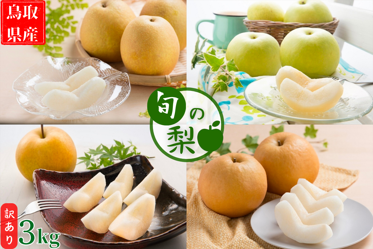 【訳あり】鳥取県産旬の梨 3kg