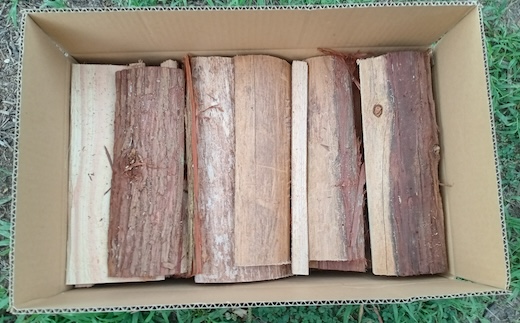 [きらめ樹 間伐材] 薪・針葉樹(30cm)