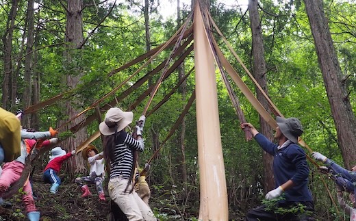 [きらめ樹] 皮むき間伐体験(お一人分)