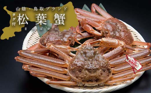 【活き】タグ付き松葉ガニ　中　2枚(500～640g前後/枚)