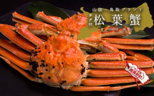 【蒸し】タグ付き松葉ガニ　大　1枚(800～940g前後)