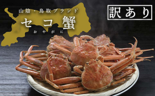 【活き】訳あり足折れ日本海産親ガニ(セコガニ)　10枚