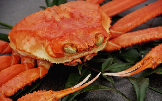 【ボイル】松葉ガニ 1kg タグ付