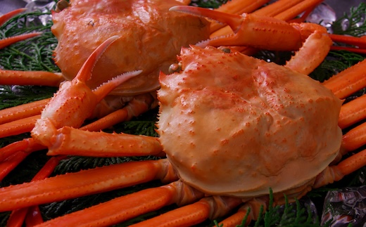 ボイル紅ズワイガニ 400～490g×5枚