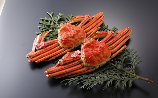 【2025年2月・3月発送】【ボイル】特撰 松葉がに（タグ付き）600g超の大きいサイズ 食べ応えあり　2杯