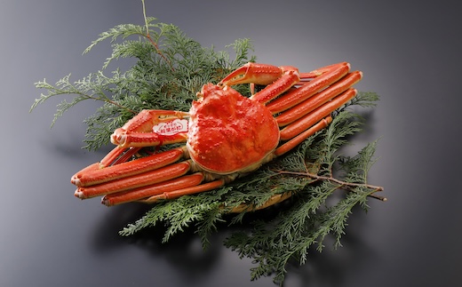 【2025年2月・3月発送】【ボイル】特撰 松葉がに（タグ付き）700g超の大きいサイズ　特大1杯