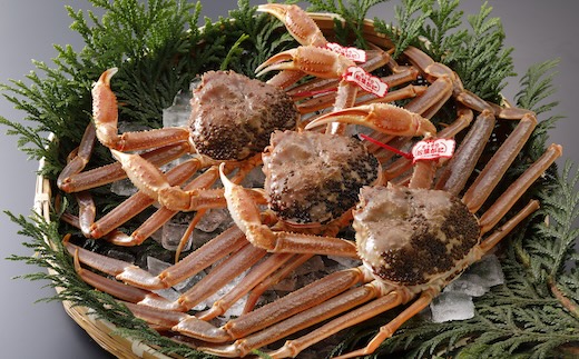 【2025年2月・3月発送】【活物】特撰 松葉がに（タグ付き）900g超の大きいサイズ　特大3杯
