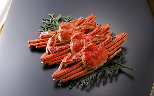 【2025年2月・3月発送】【ボイル】特撰 松葉がに（タグ付き）900g超の大きいサイズ　特大3杯