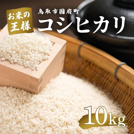 鳥取県産  コシヒカリ 令和7年産 精米済 10kg（5kg×2袋）