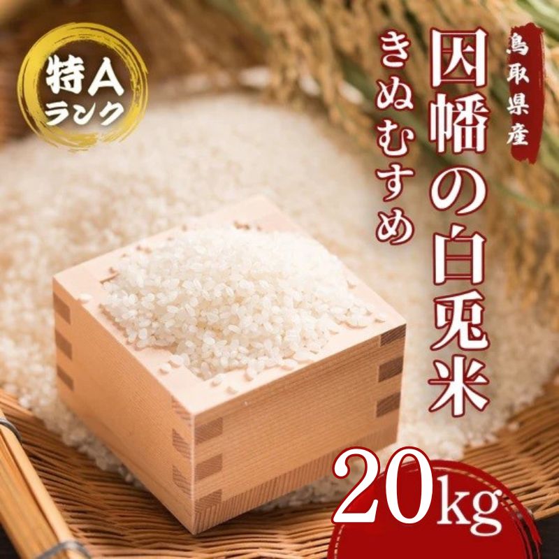 因幡の白兎米 きぬむすめ 令和7年産 精米済 20kg（5kg×4袋）