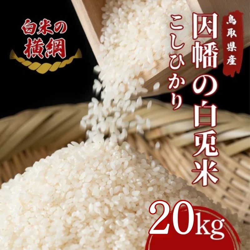 因幡の白兎米 コシヒカリ 令和7年産 精米済 20kg（5kg×4袋）