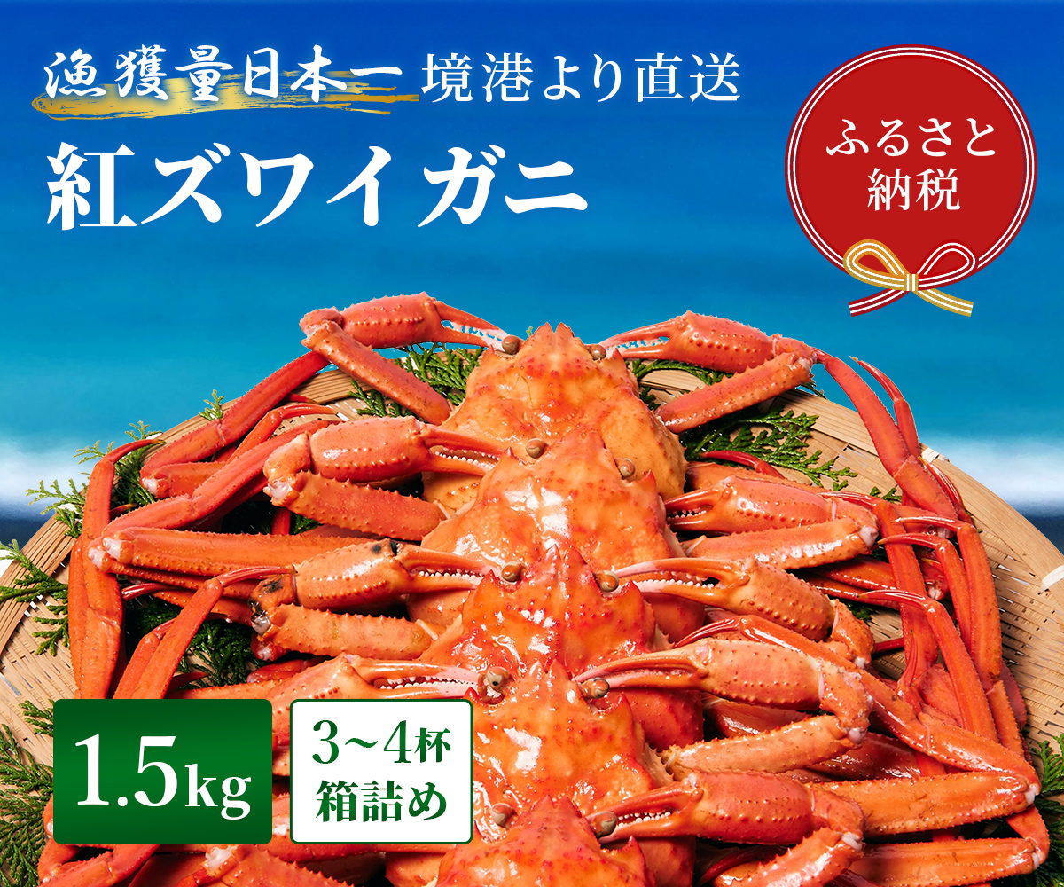 【蟹セレブ】紅ズワイガニ　1.5kg箱詰め（3～4杯）