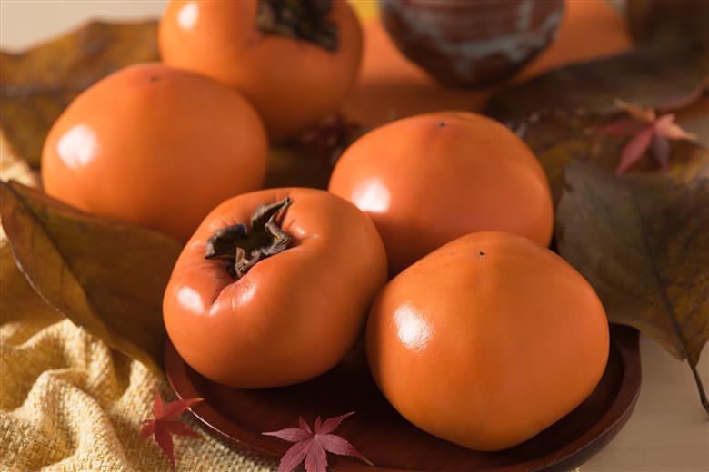 【2025年発送分】八頭町が誇る日本随一の甘柿『花御所柿』 2kg