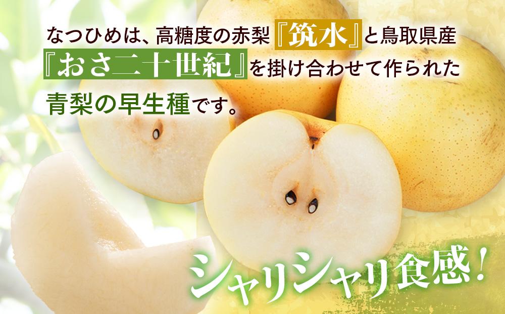 梨 なつひめ 鳥取産 5kg× 1箱
