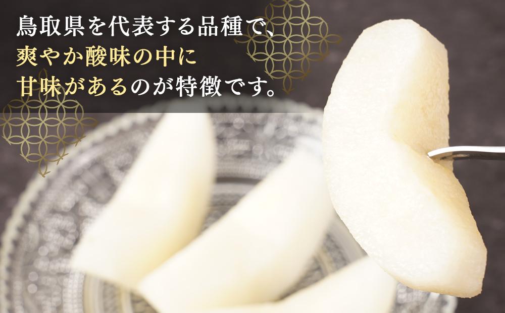 梨 二十世紀梨 鳥取産 5kg× 1箱