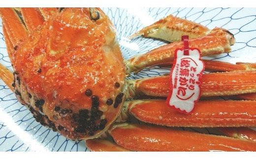 カニ 松葉ガニ ボイル カニ酢付き （ 1枚 ）