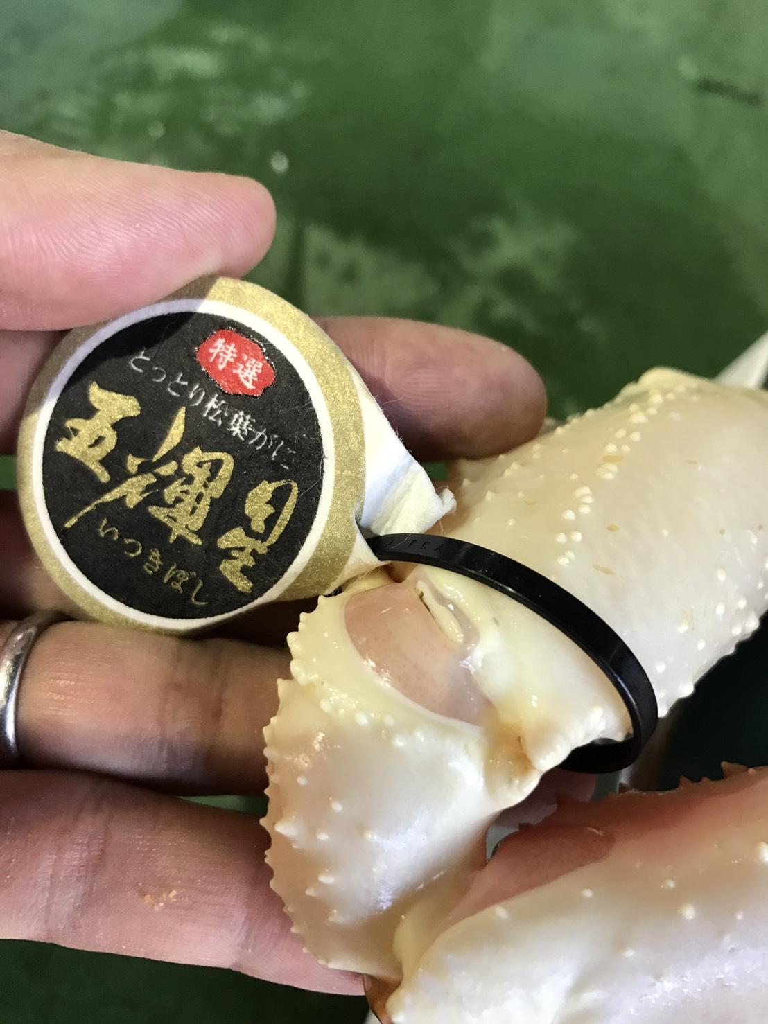 【魚倉】五輝星生松葉ガニ(特々大1.2kg)数量限定品