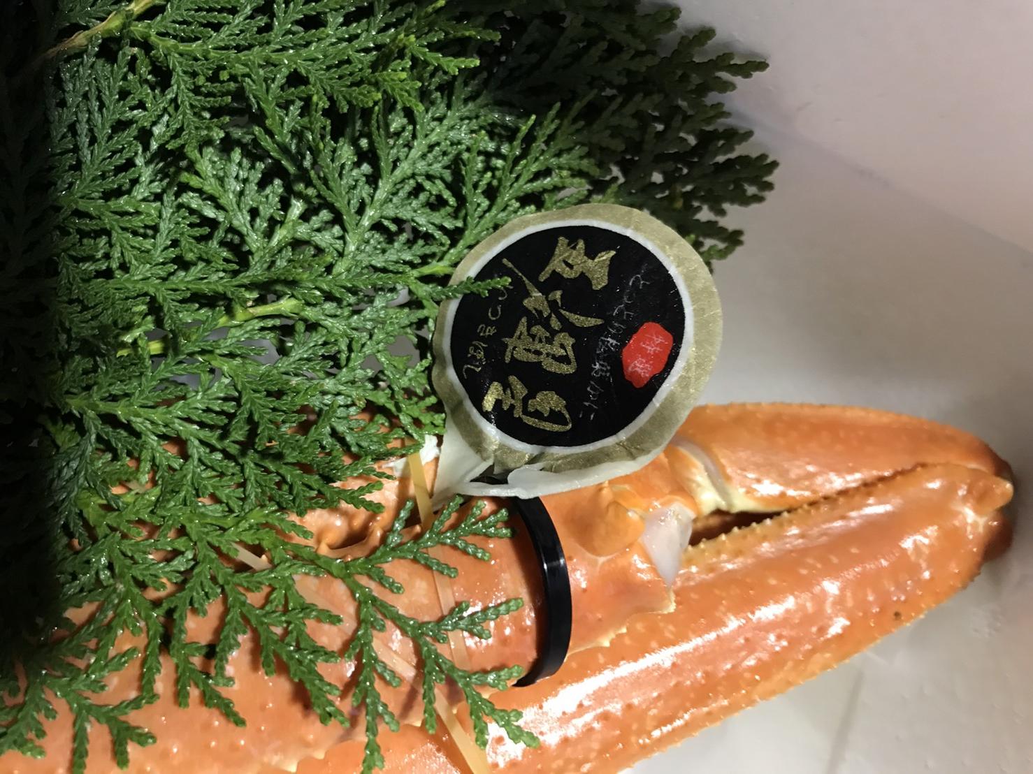 【魚倉】五輝星ボイル松葉ガニ(特々大1.2kg)数量限定品