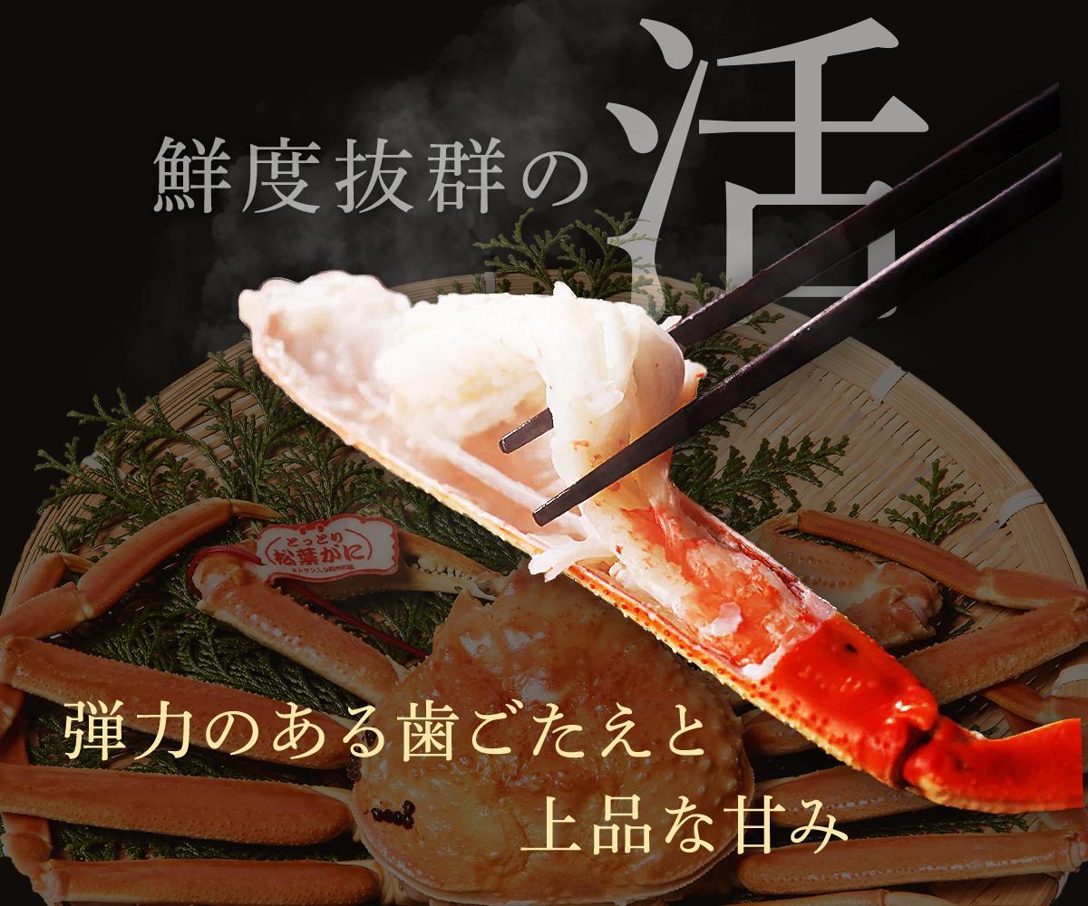 【 先行予約 2026年1月中旬以降～2月発送 】【蟹セレブ】タグ付き活〆ボイル・松葉がに（大・800ｇ前後）