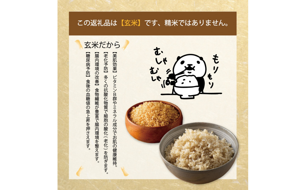 令和7年 鳥取県産 こしひかり玄米5kg