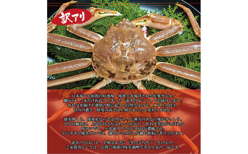 境港産 松葉ガニ350g（活冷）訳あり