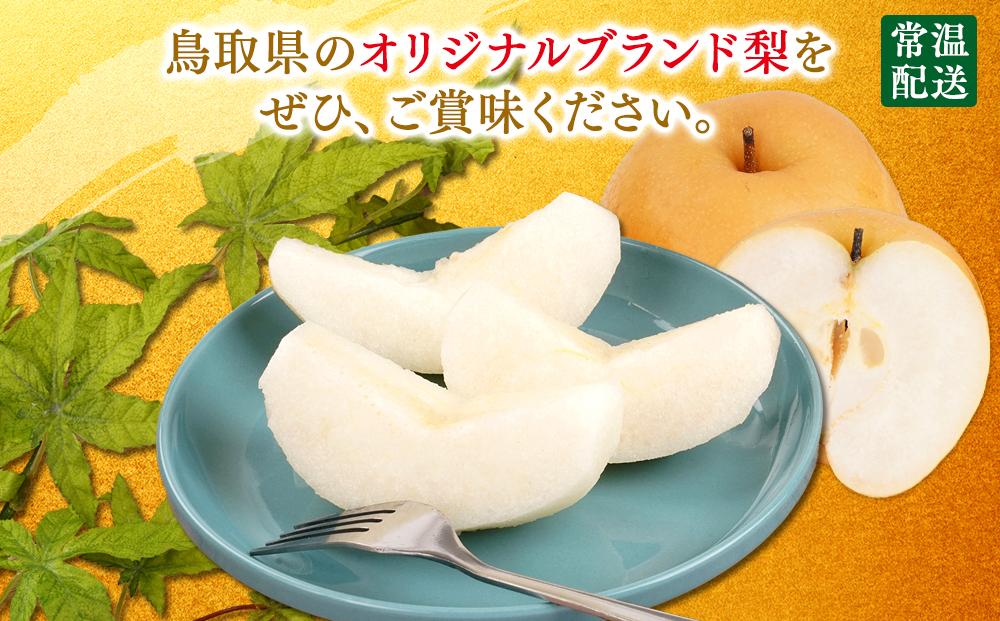 梨 新興梨 鳥取産 5kg× 1箱