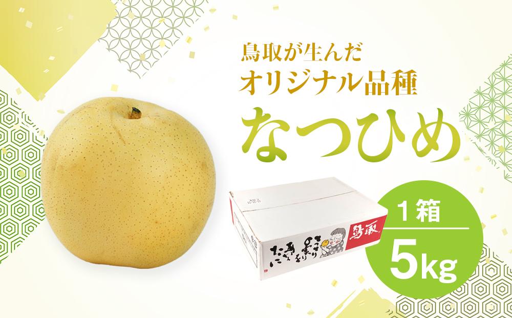 梨 なつひめ 鳥取産 5kg× 1箱