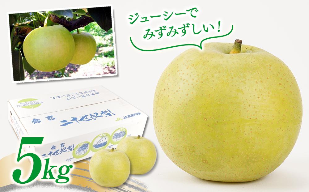 梨 二十世紀梨 鳥取産 5kg× 1箱