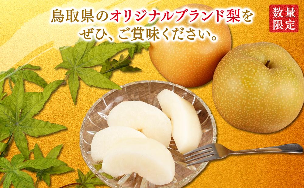 梨 秋甘泉 鳥取産 5kg× 1箱