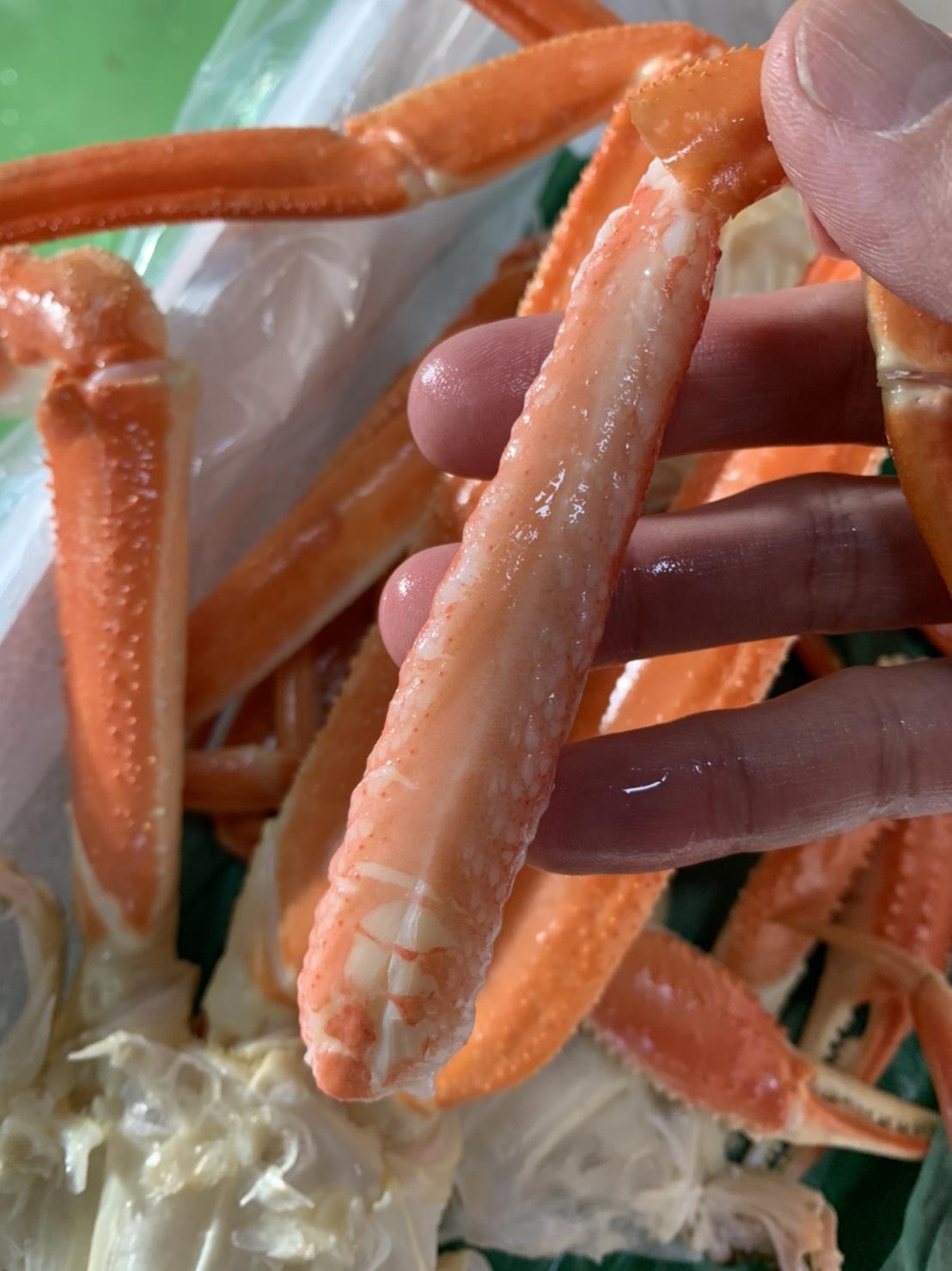 【先行予約】【魚倉】ボイル若松葉ガニ ４尾分８肩(足１～２本なし含む)