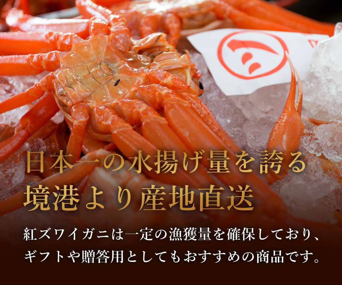 【 先行予約 2026年1月中旬以降発送 】【蟹セレブ】ズワイガニ（紅ズワイガニ）大2杯セット（500～600g×2）