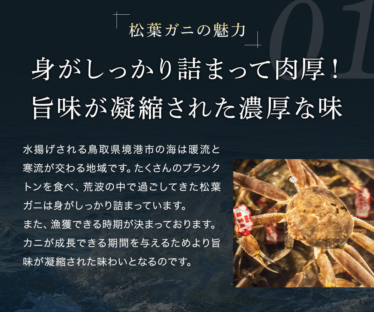 【 先行予約 2026年1月中旬以降～2月発送 】【蟹セレブ】タグ付き活〆ボイル・松葉がに（大・800ｇ前後）