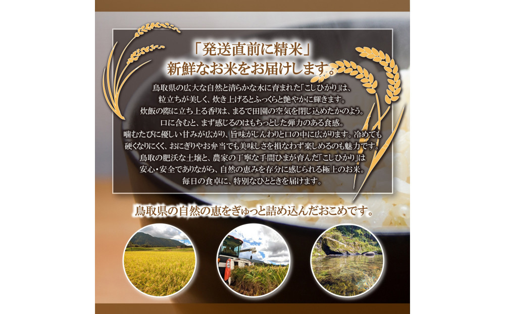 令和7年 鳥取県産 こしひかり無洗米5kg