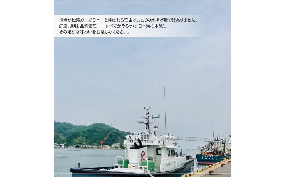 境港産 松葉ガニ500g（活冷）訳あり