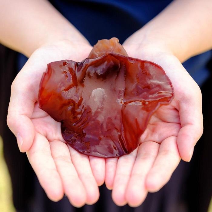 国産乾燥きくらげ3袋セット 温泉地熱栽培 三朝喜くらげ