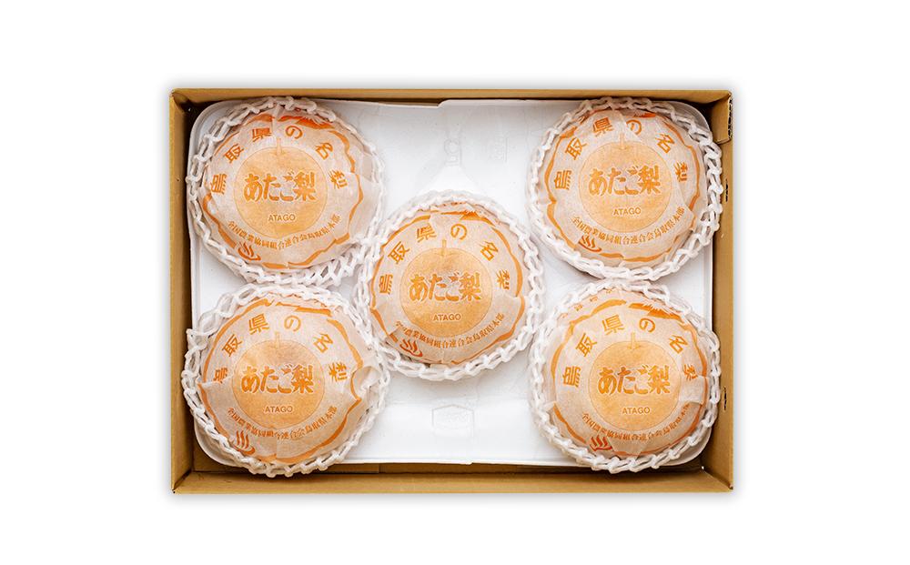梨 あたご梨 鳥取産 5kg ( 5kg × 1箱 )