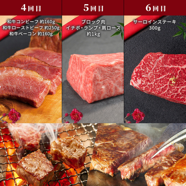 【和牛セレブ】鳥取和牛 定期便 「シルバークラス」（定期便６回）