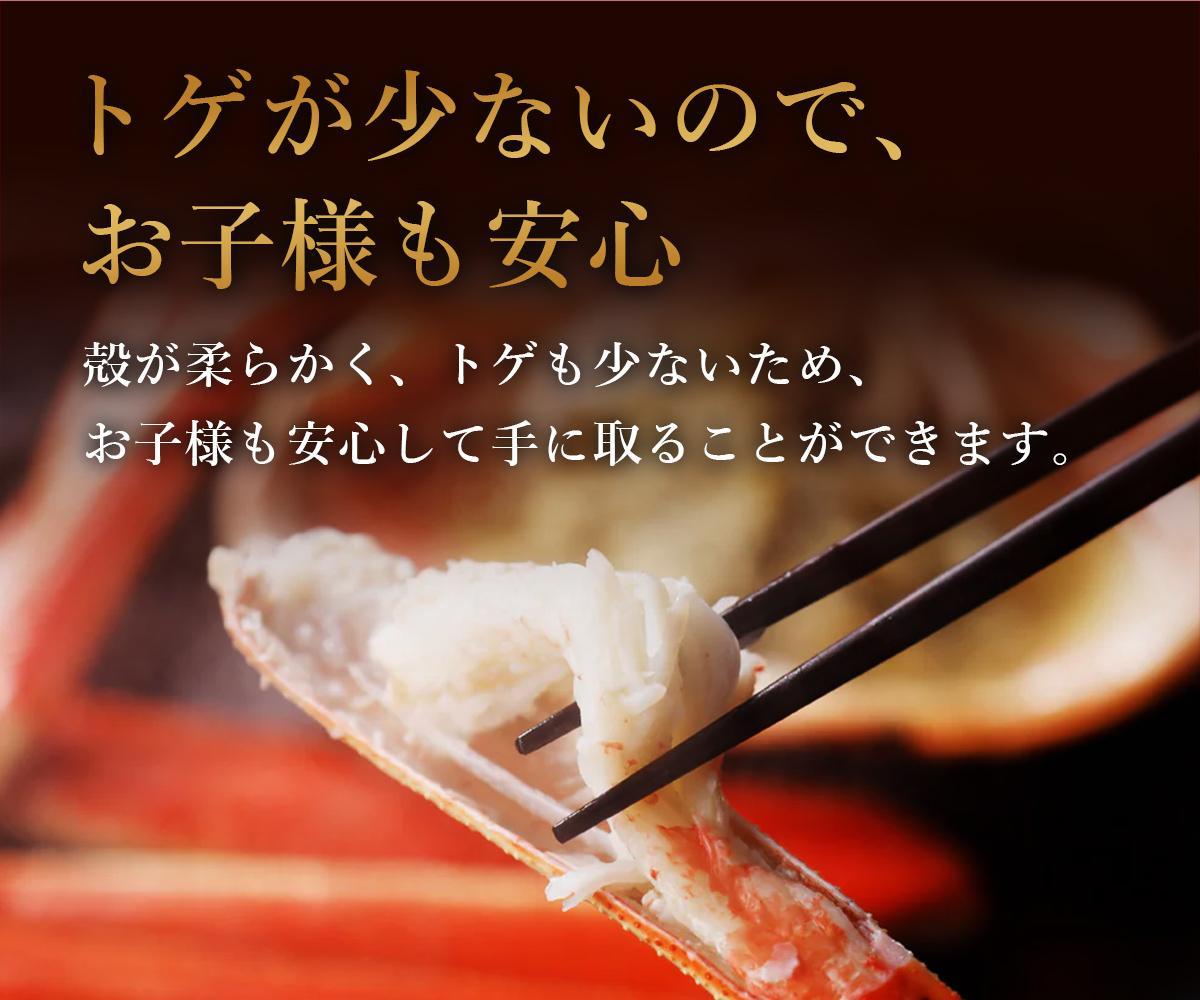 【 先行予約 2026年1月中旬以降発送 】【蟹セレブ】ズワイガニ（紅ズワイガニ）大3杯セット（500～600g×3）