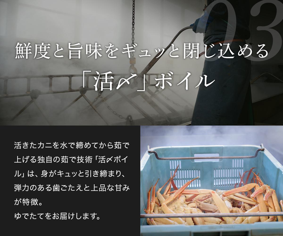 【 先行予約 2026年1月中旬以降～2月発送 】【蟹セレブ】タグ付き活〆ボイル・松葉がに（大・800ｇ前後）