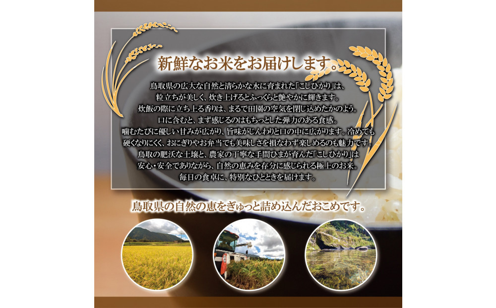 令和7年 鳥取県産 こしひかり玄米5kg