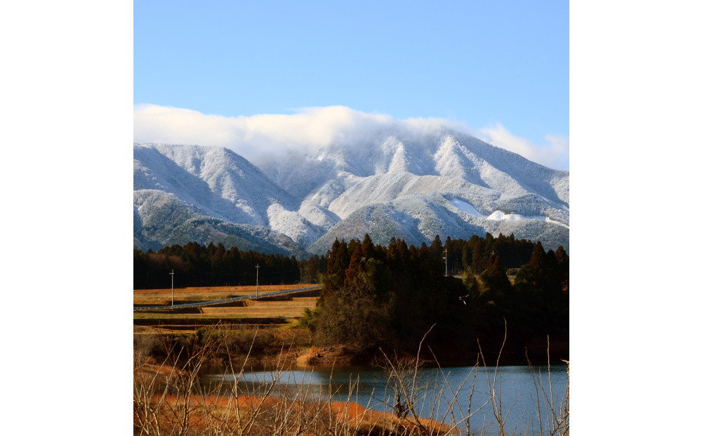 令和7年 鳥取県産 こしひかり無洗米5kg
