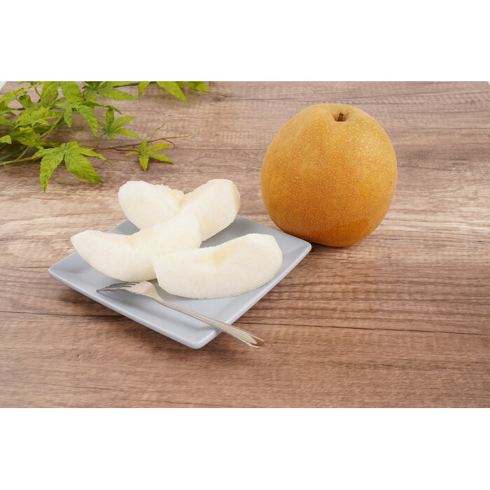 数量限定 鳥取県産梨 王秋（おうしゅう） 3.5kg（5～6玉）