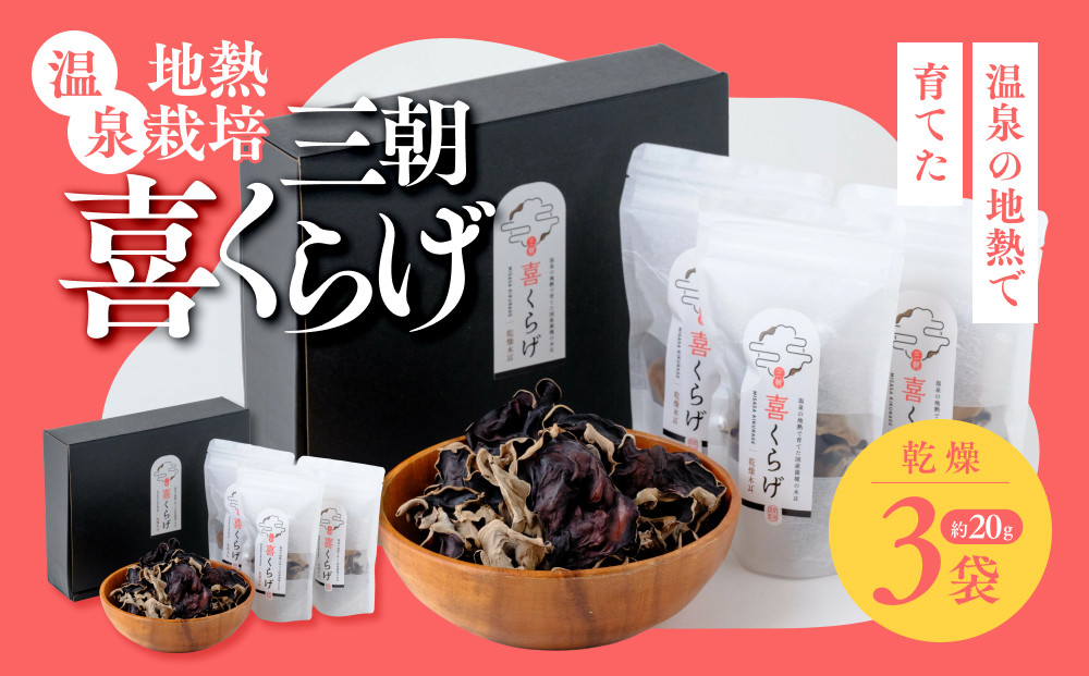 国産乾燥きくらげ3袋セット 温泉地熱栽培 三朝喜くらげ