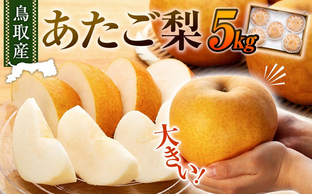 梨 あたご梨 鳥取産 5kg ( 5kg × 1箱 )