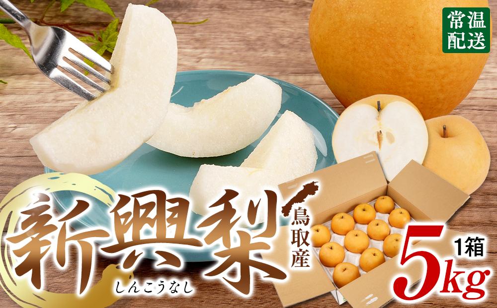 梨 新興梨 鳥取産 5kg× 1箱