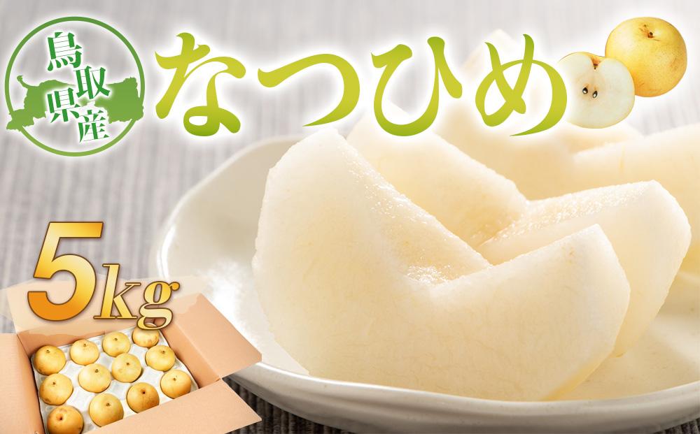 梨 なつひめ 鳥取産 5kg× 1箱