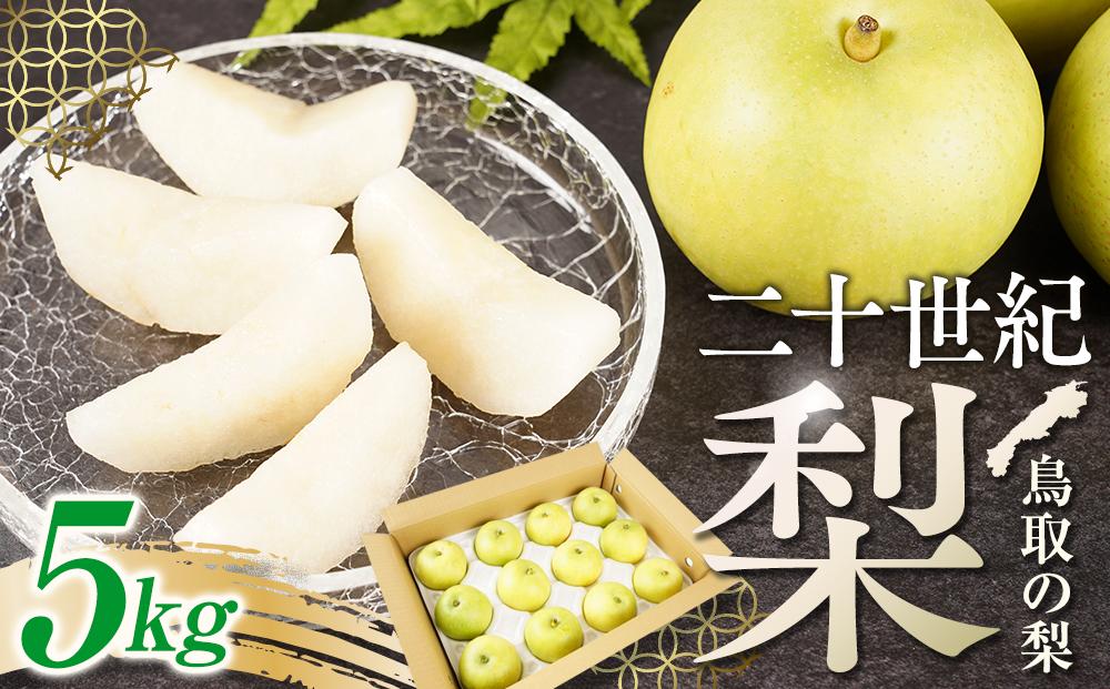 梨 二十世紀梨 鳥取産 5kg× 1箱