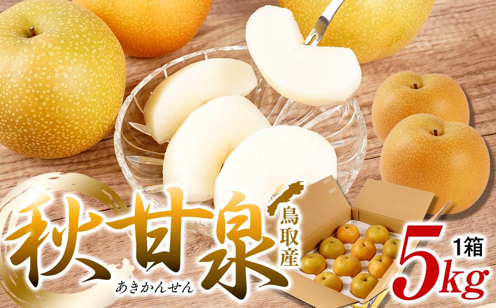 梨 秋甘泉 鳥取産 5kg× 1箱