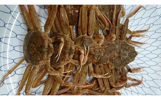 ボイル 親ガニ カニ酢付き （ 5 ～ 6枚 ）